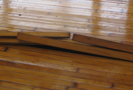Researching an Expert for Water Damage Restoration Service Schenectady