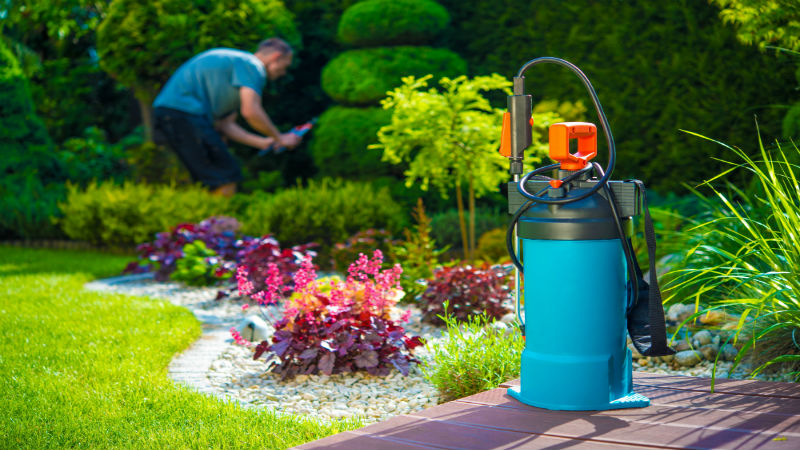 Evergreen Landscaping Brightens Up Yards In Winter
