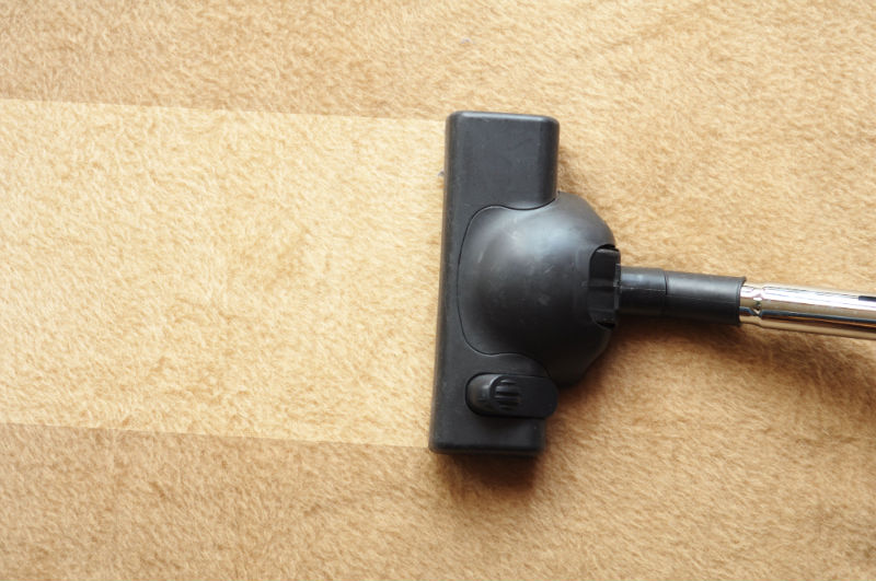 Keep Rugs Clean By Hiring A Carpet Cleaner In Rio Rancho NM