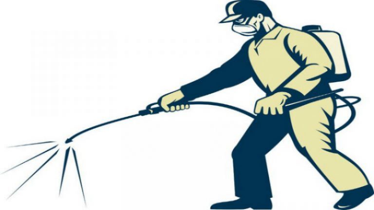 Everything you Need to Know About Emergency Pest Control