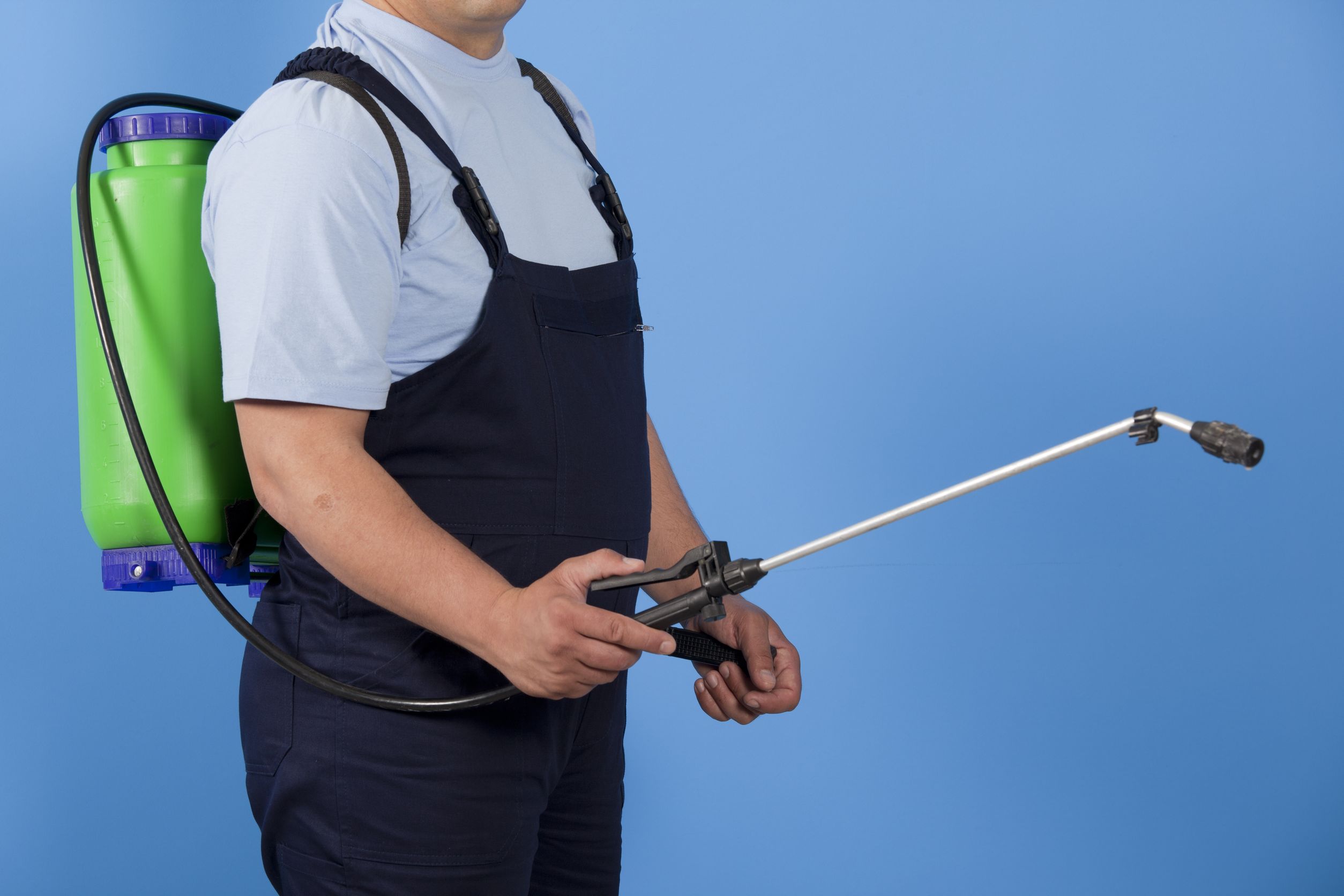 Important Reasons for Commercial Pest Control in Rancho Cucamonga CA