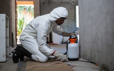 Cutting-Edge Pest Control in Edina Providing Unparalleled Service to Preserve the Integrity of Your Home and Garden