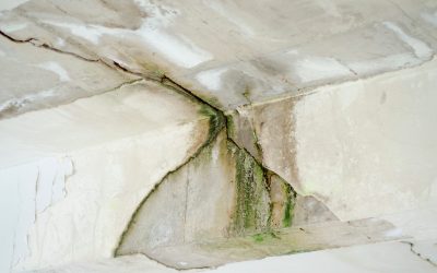 Why You Should Hire Damage Restoration Services In Hayden ID