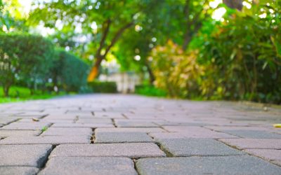 Create stunning patios through reliable paver installation Sanford FL landscaping services