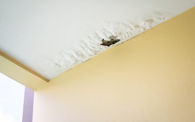 Prevent Costly Repairs With Water Damage Restoration Services Kansas City, MO Homeowners Trust