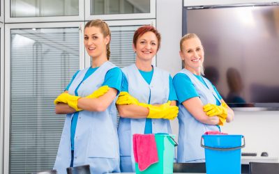 Maintain Sparkling Spaces With Personalized House Cleaning in Lone Tree, CO