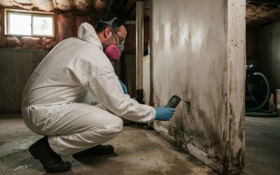 Signs Your Property May Need Professional Mold Remediation